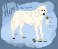 Howl Reference