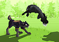 Allons chase [Commission]