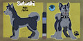 Satoshi reff sheet by HunterStirling