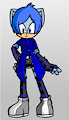 Aqua the Hedgehog by dragonmaster77