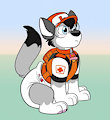 Paw patrol is on a roll