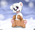 SnowtheBear