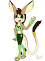 Pippi the Long-eared Jerboa