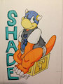 Shade Koopa_Coin Block