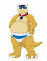 Shade Koopa_Grown Up...Sorta :p