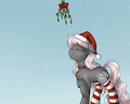 Christmas Kisses by Mingle