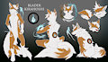 Blader Reference Sheet