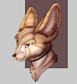PC - Beetle by R0ttR0tt