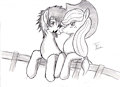 Tiger and AJ on the Fence by TigerDusk