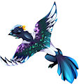 Soaring