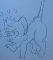 a rather angry mew