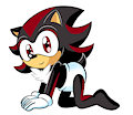 Shadow Bebe