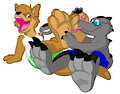 Zotty licking daisy's paws