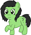 Filly Leg Raise