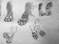 Soft or fluffy? by RyaArt