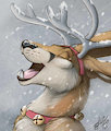 Renegade Roondeer!