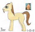 The Pony Behind the Human