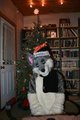 Christmas wolf