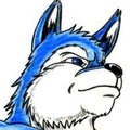 Snooooow by snowhusky