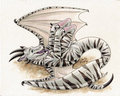 Playful Dragon