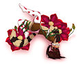 Shibari And Flowers