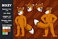 Ikkey 2nd Ref sheet (Wrong Face)