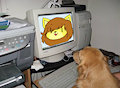 Canis Doods #7