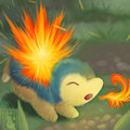 Left Hand Series: Cyndaquil