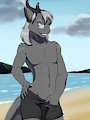 Dragon at the beach