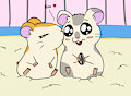 Ham-Ham kiss