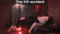 The K9 Accident