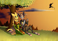 Commission: Setting sun