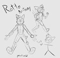 rotto anatomy