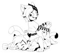 Cat tickles