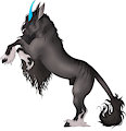 Fúria Portrait