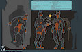 "Bruno" Reference sheet