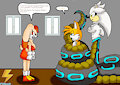 Preferences colored