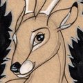 Rabs conbadge