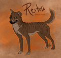 Reitora Reference