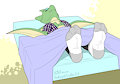 Andreas's socks