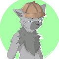 Detective Cat