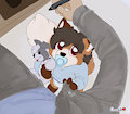 Wolfie's Streams - Sleepless Kit by ChocolateKitsune
