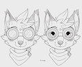 Using the Goggles