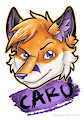 Caru Badge