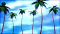 Palm Tree's