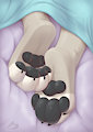 Undercover Paws