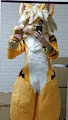 my sursuit