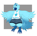 Twitter Bird
