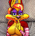 Dottie Coyote, Dotty Dakimakura