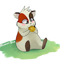 Catchi